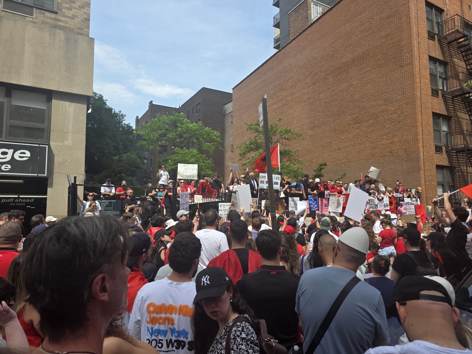 Vjosa-Narta Solidarity Gathering — New York