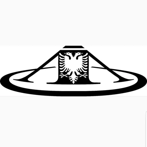 Albanian American Community Of Illinois logo